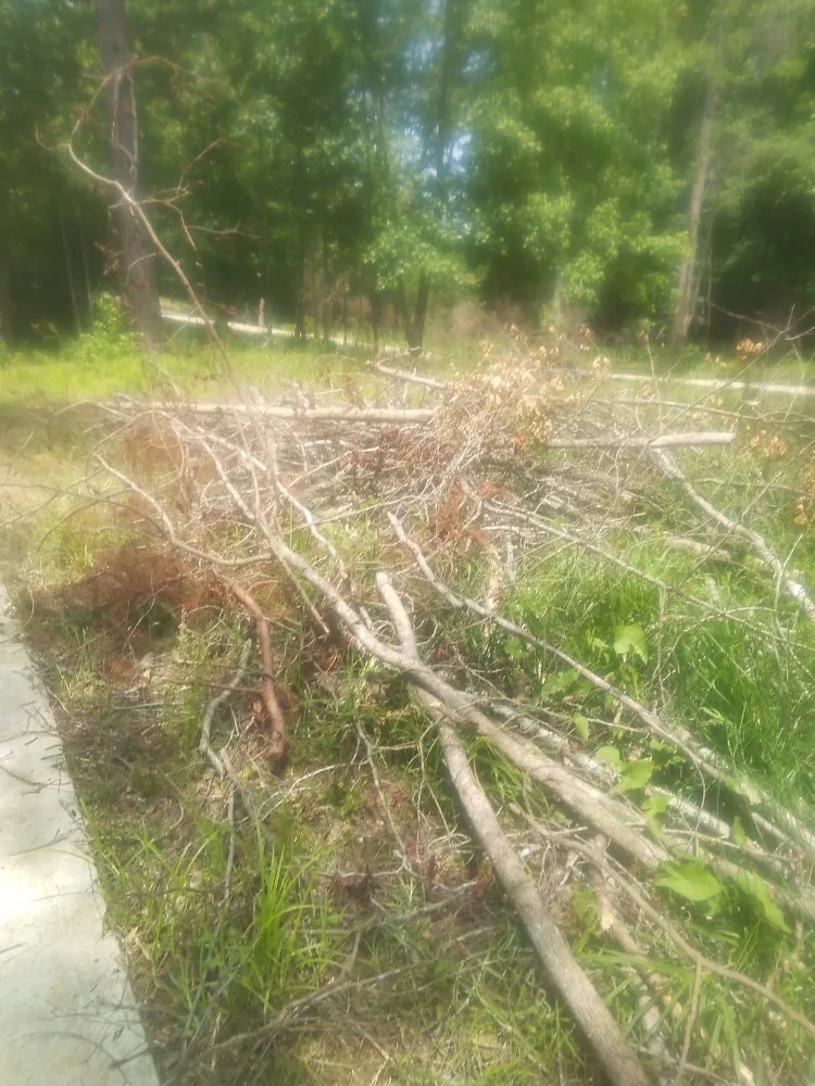 Custom landscape installation for year-round maintenance in Columbus, GA by Williams Landscaping