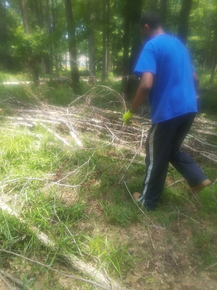 Affordable landscaping services for outdoor upgrades in Columbus, GA by Williams Landscaping