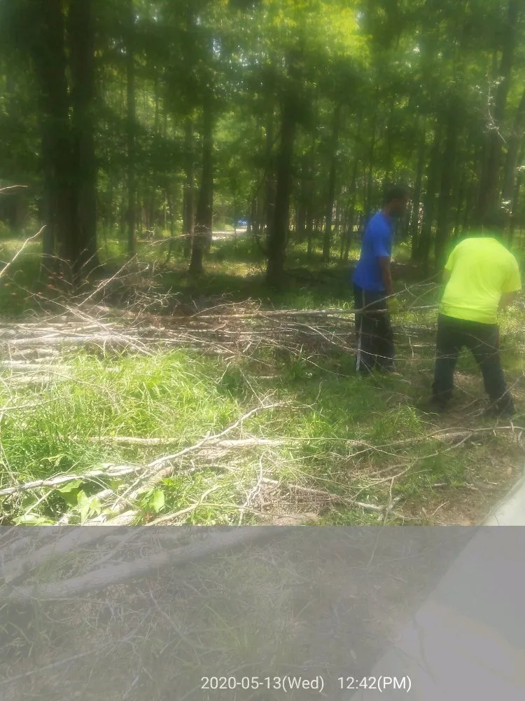 Trusted outdoor landscaping experts serving Columbus, GA - Williams Landscaping