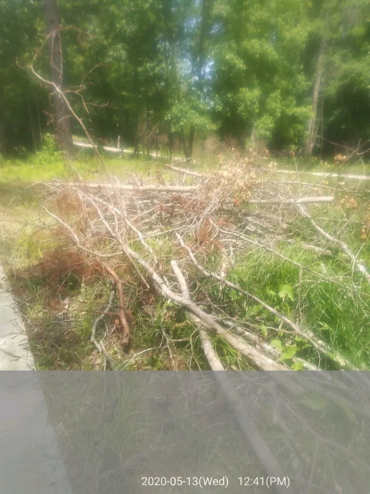 Expert garden landscaping in Columbus, GA - Williams Landscaping