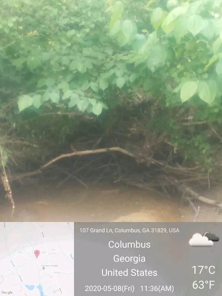 Local lawn mowing service near you across Columbus, GA - Williams Landscaping