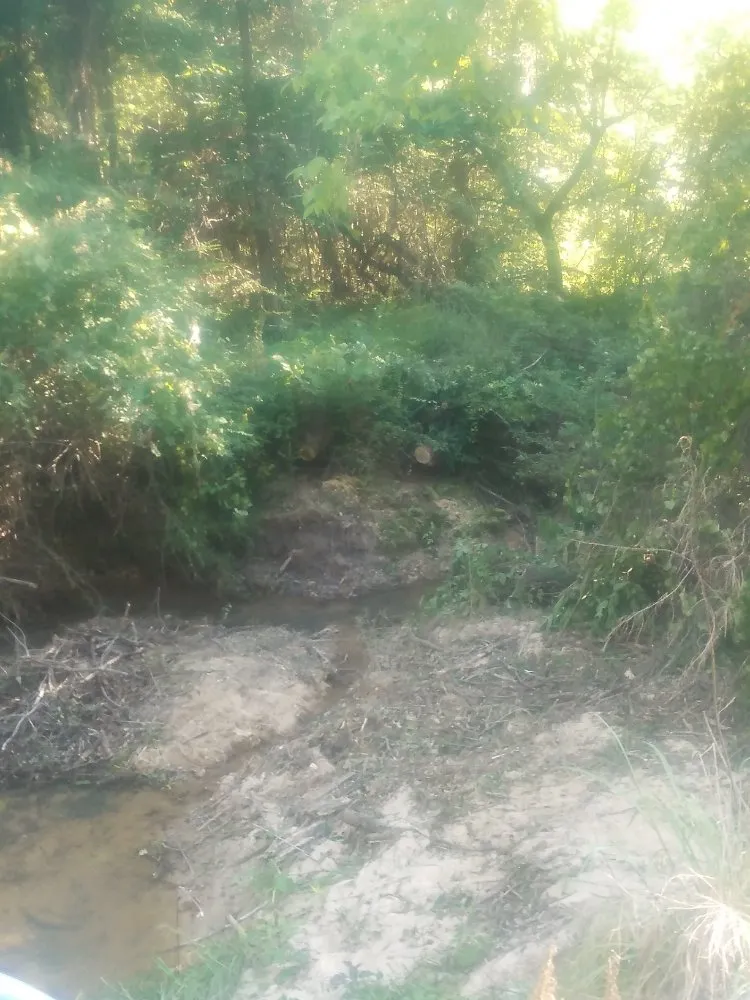 Local outdoor landscaping in Columbus, GA - Williams Landscaping