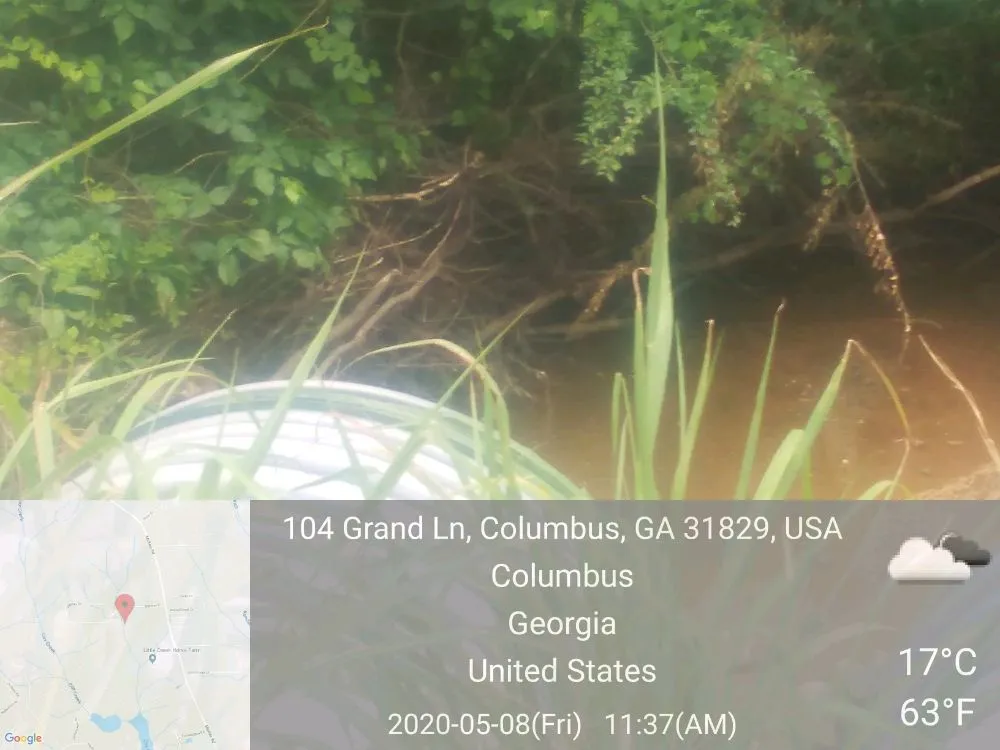 Professional landscaping services for homes in Columbus, GA by Williams Landscaping