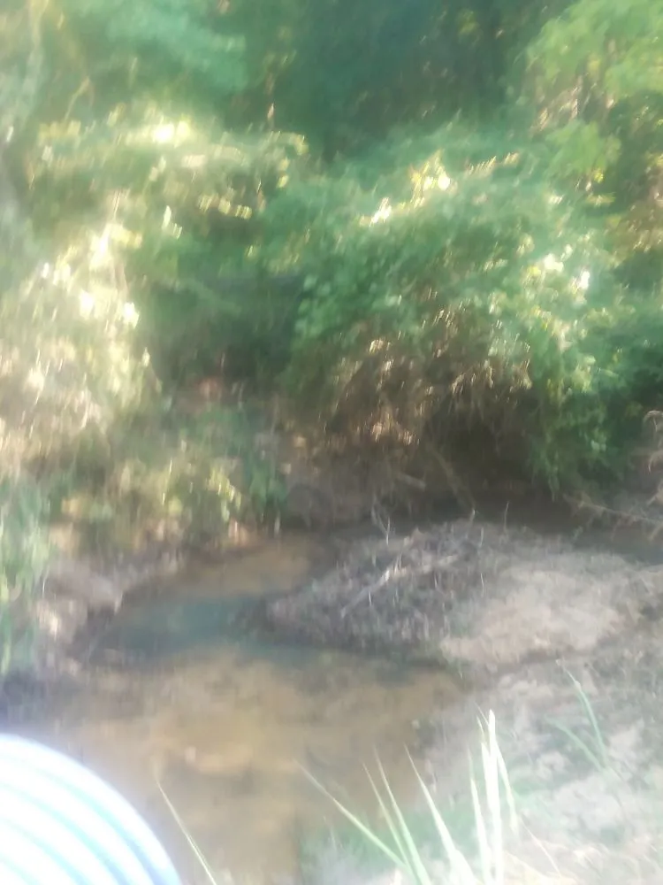 Local residential landscaping for beautiful yards across Columbus, GA - Williams Landscaping