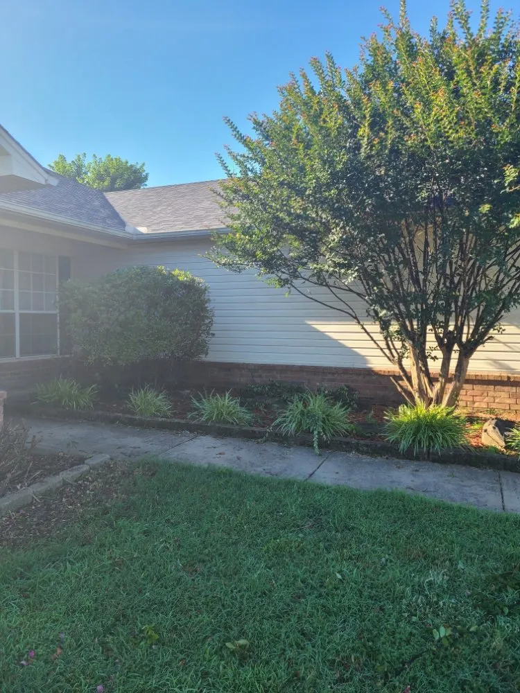 Top-rated landscape installation in Conway, AR - Williams Landscaping