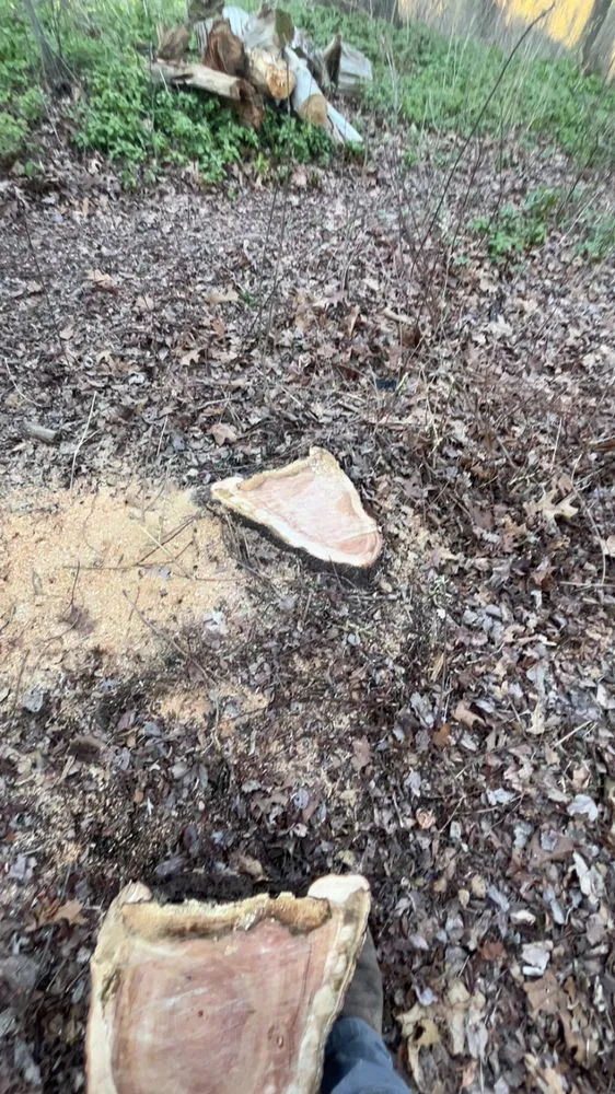 Professional yard cleanup service near you across Hurley, NY - Williams Landscaping