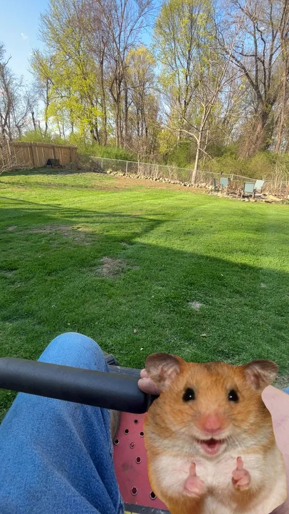 Local residential landscaping with custom design across Hurley, NY - Williams Landscaping