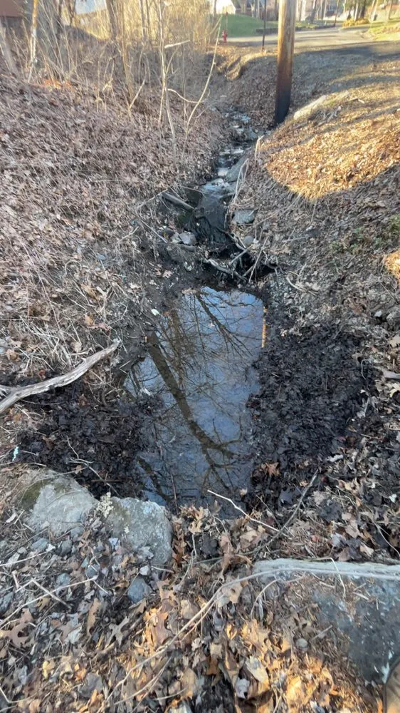 Expert landscape design for outdoor upgrades in Hurley, NY by Williams Landscaping