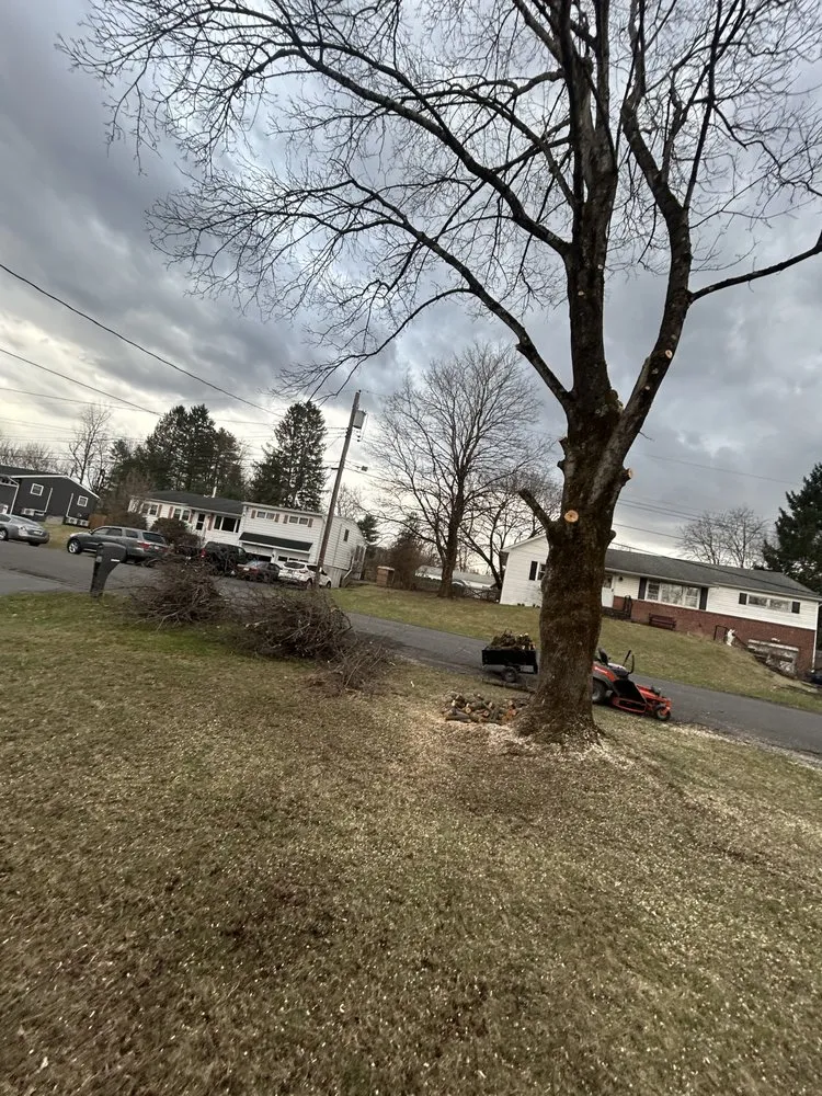 Trusted landscape installation with custom design in Hurley, NY by Williams Landscaping