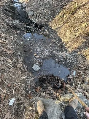 Williams Landscaping