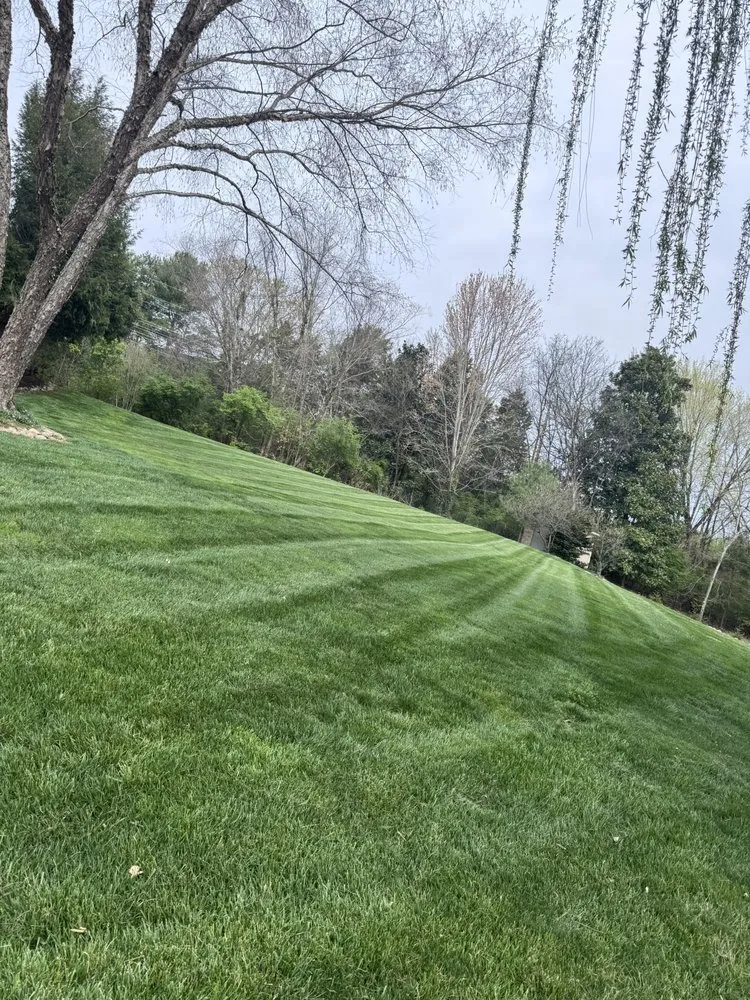 Professional garden landscaping for outdoor upgrades across Knoxville, TN - Williams Landscaping