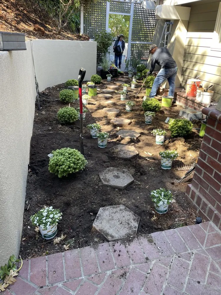 Professional yard cleanup service experts serving Novato, CA - William's Landscaping