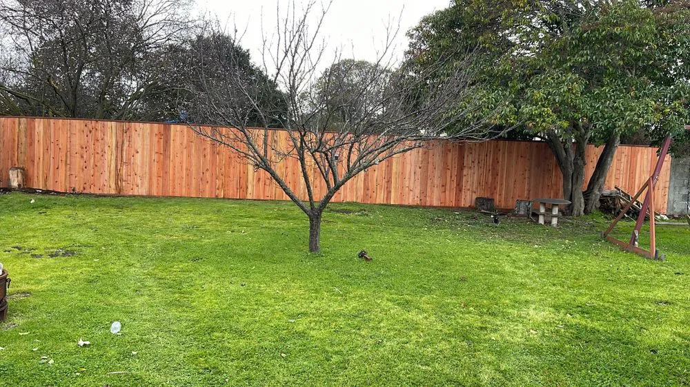 Trusted yard maintenance with custom design across Novato, CA - William's Landscaping
