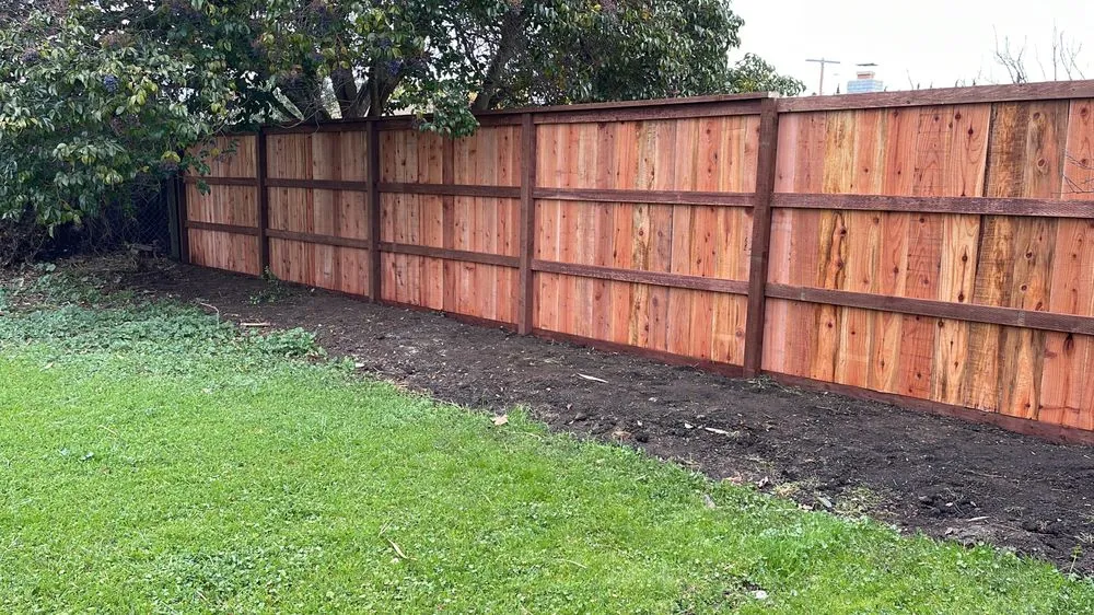 Custom yard cleanup service experts serving Novato, CA - William's Landscaping