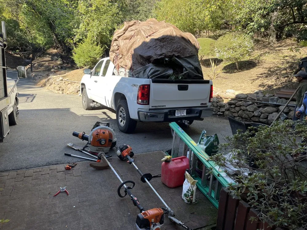 Affordable lawn care service in Novato, CA - William's Landscaping