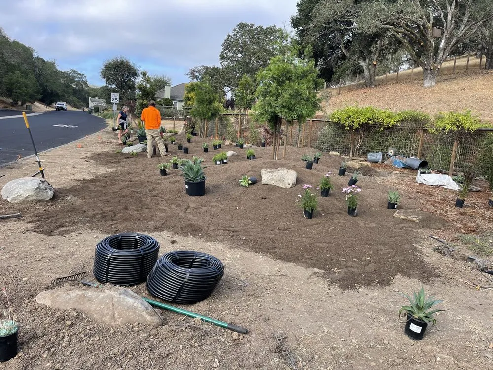 Expert landscape design in Novato, CA by William's Landscaping