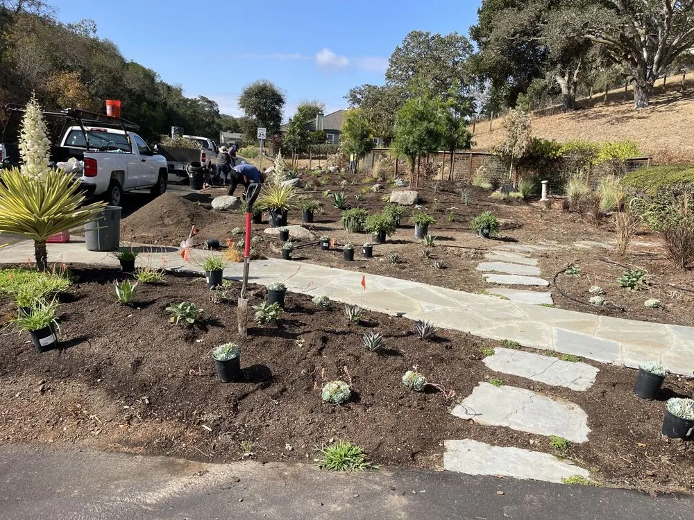 Local yard maintenance in Novato, CA by William's Landscaping