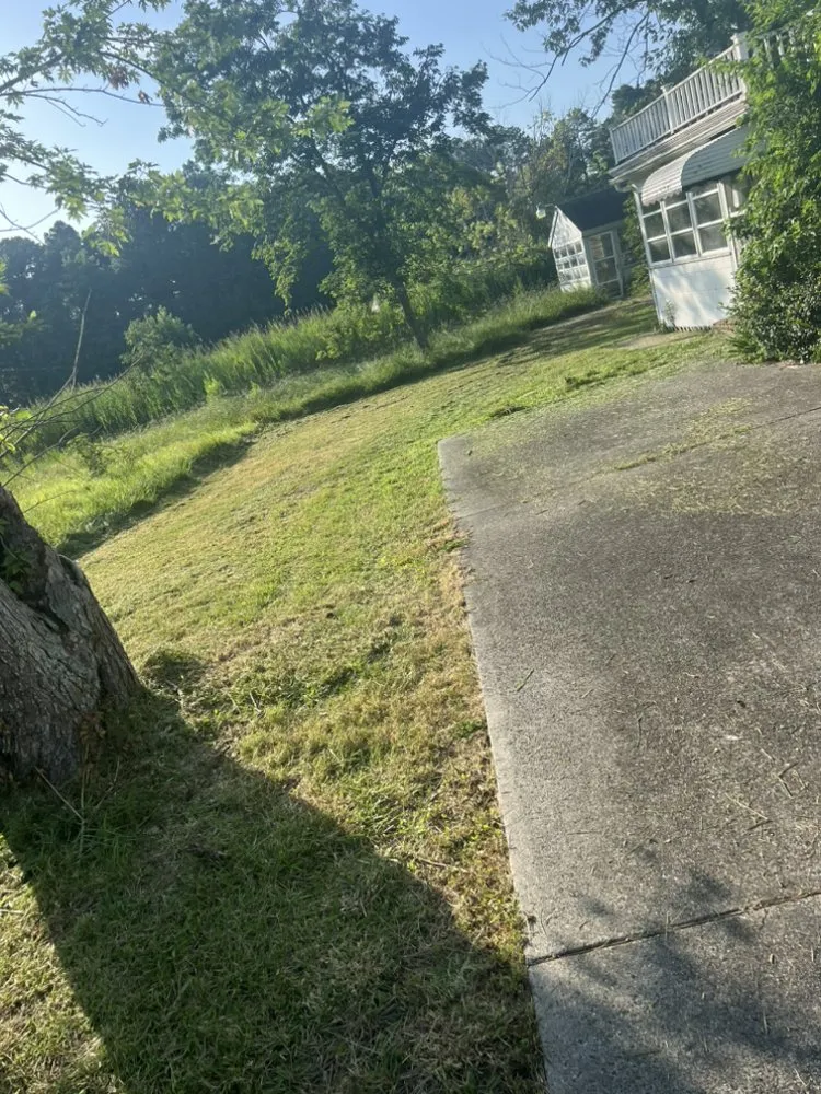 Expert yard cleanup service for outdoor upgrades in Snow Hill, MD by Williams Landscaping