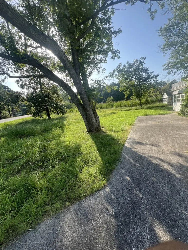 Professional garden landscaping in Snow Hill, MD by Williams Landscaping