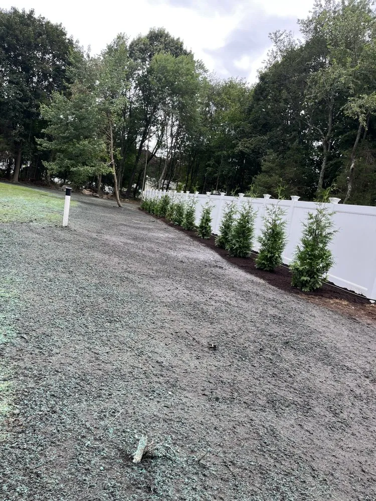 Expert lawn care service for year-round maintenance across Waltham, MA - William's Landscaping