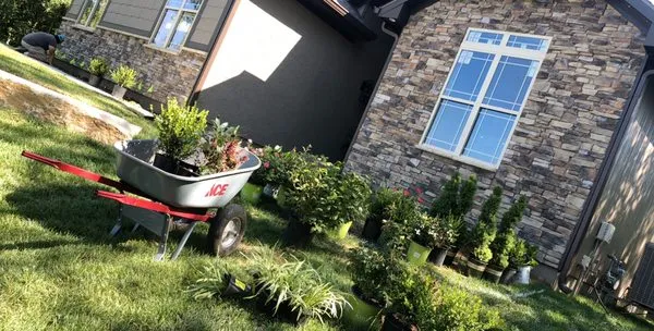 Williams lawn & Total Maintenance Logo