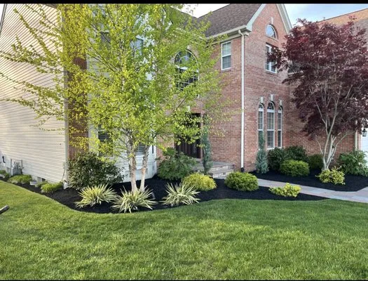 Williams Lawn And Landscaping