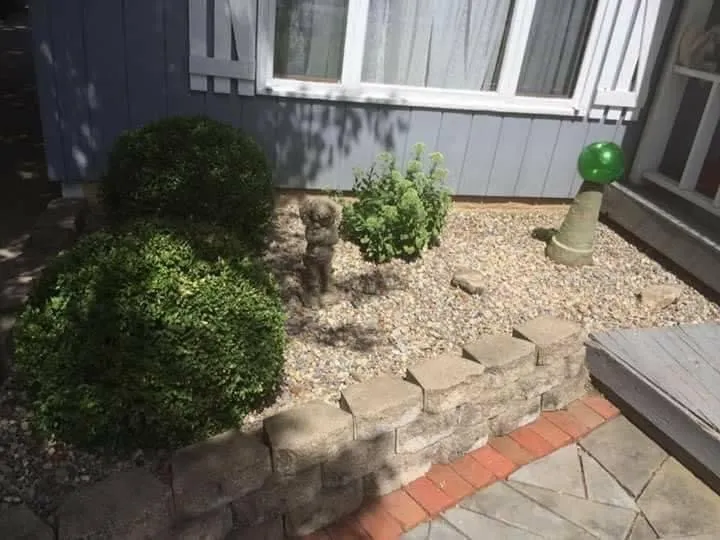 Professional outdoor landscaping for year-round maintenance in Monroeville, IN by Williams Lawn Care & Snow Removal