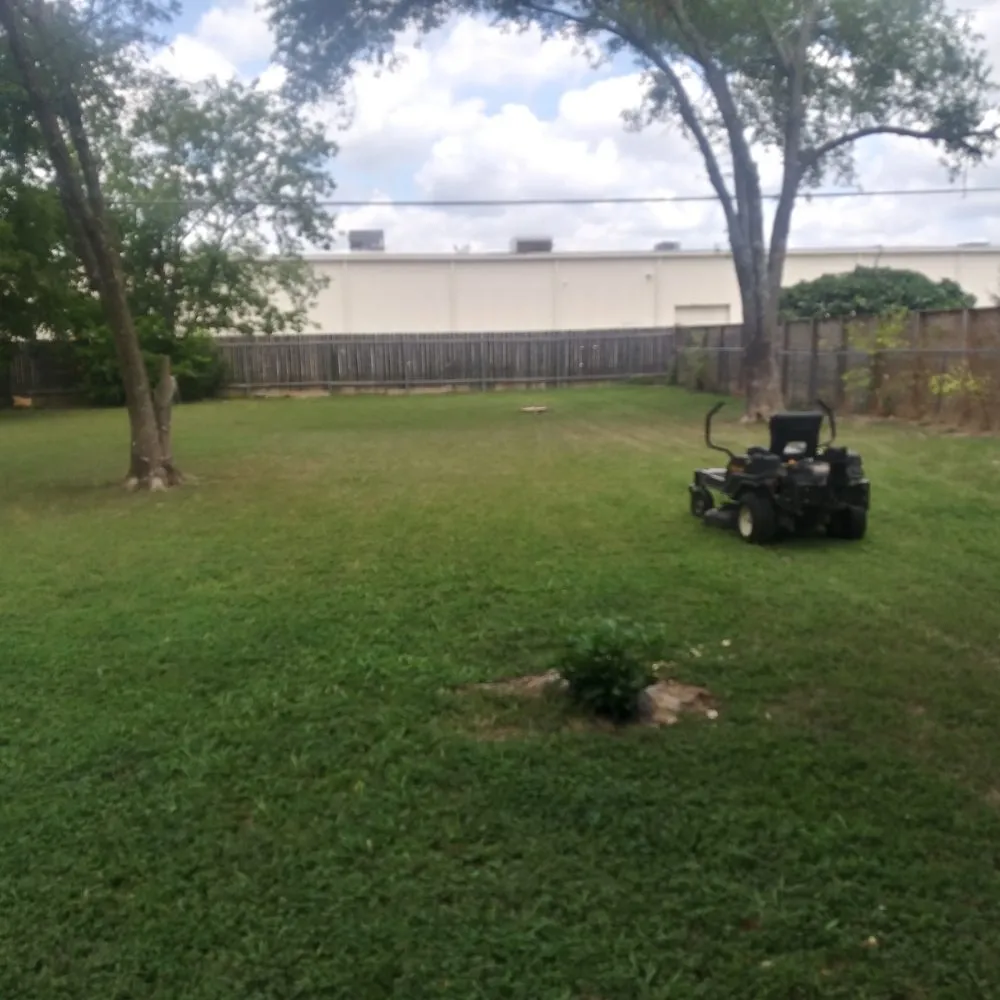 Professional landscape design experts serving Round Rock, TX - Williams Lawn Care ATX