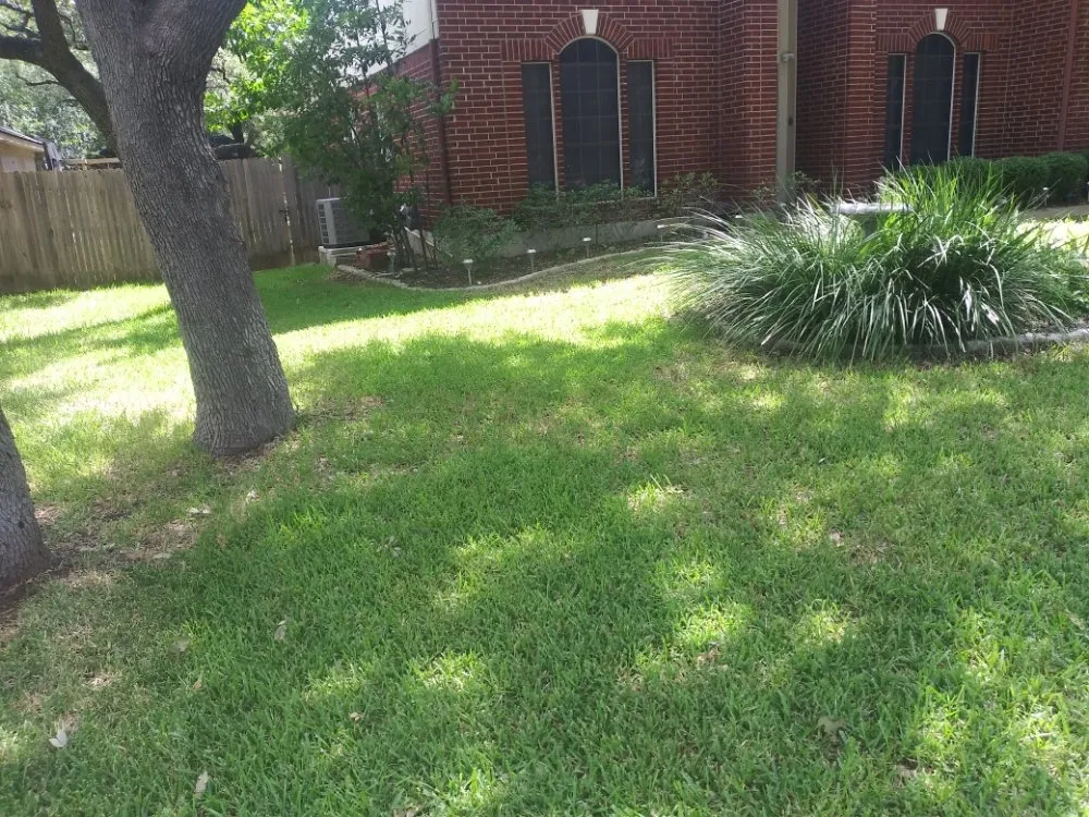 Trusted yard maintenance experts serving Round Rock, TX - Williams Lawn Care ATX