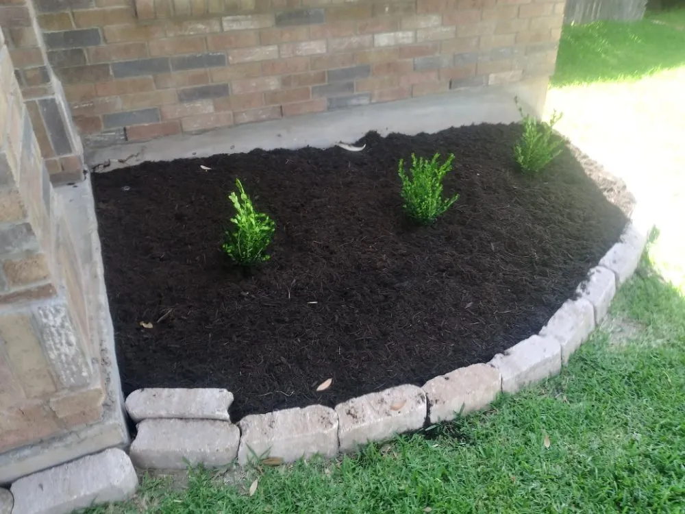 Top-rated outdoor landscaping in Round Rock, TX by Williams Lawn Care ATX