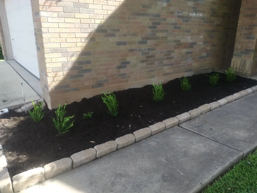 Trusted yard maintenance experts serving Round Rock, TX - Williams Lawn Care ATX