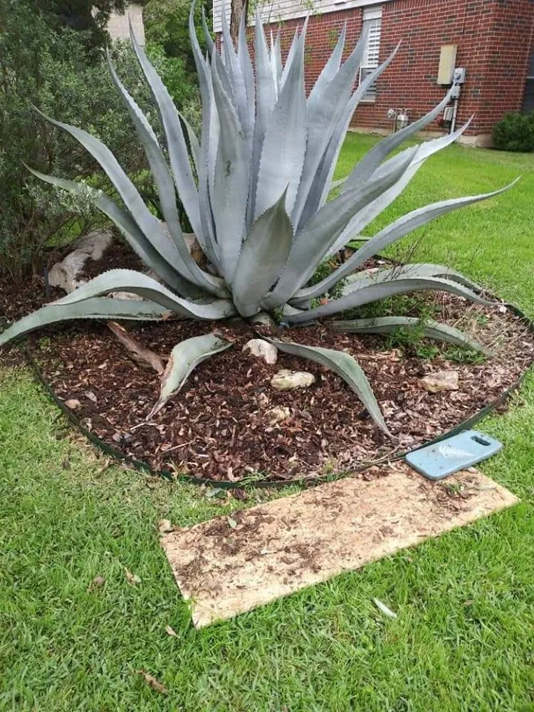 Trusted outdoor landscaping for homes across Round Rock, TX - Williams Lawn Care ATX
