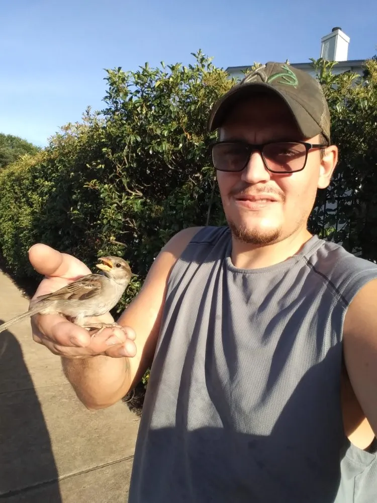 Expert landscape installation near you in Round Rock, TX by Williams Lawn Care ATX