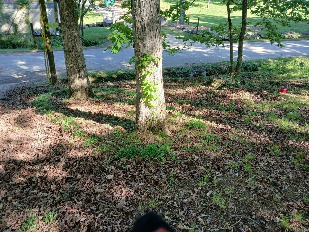 Local landscape installation experts serving Cleveland, TN - William's Lawn Care