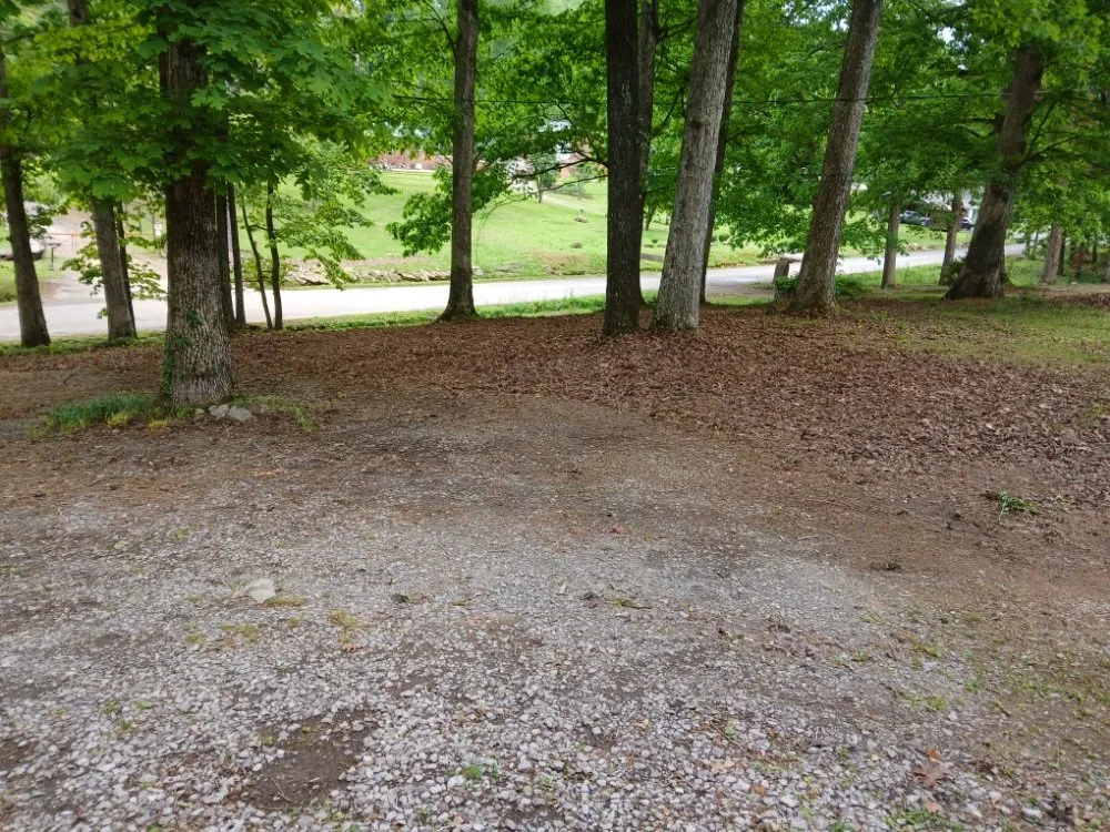 Top-rated yard maintenance in Cleveland, TN by William's Lawn Care