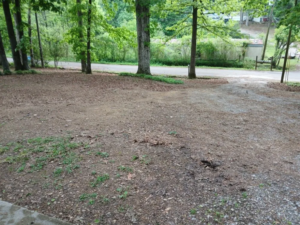 Trusted lawn care service in Cleveland, TN by William's Lawn Care