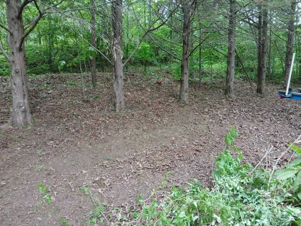 Trusted landscape installation for homes in Cleveland, TN by William's Lawn Care