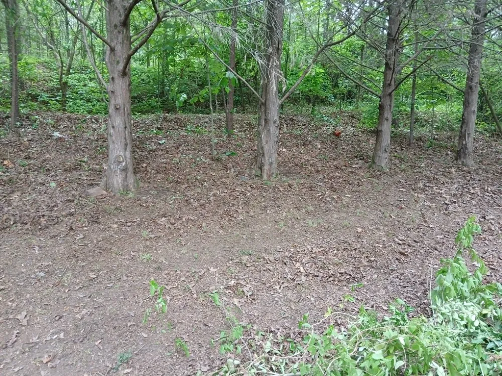 Local landscape design in Cleveland, TN - William's Lawn Care