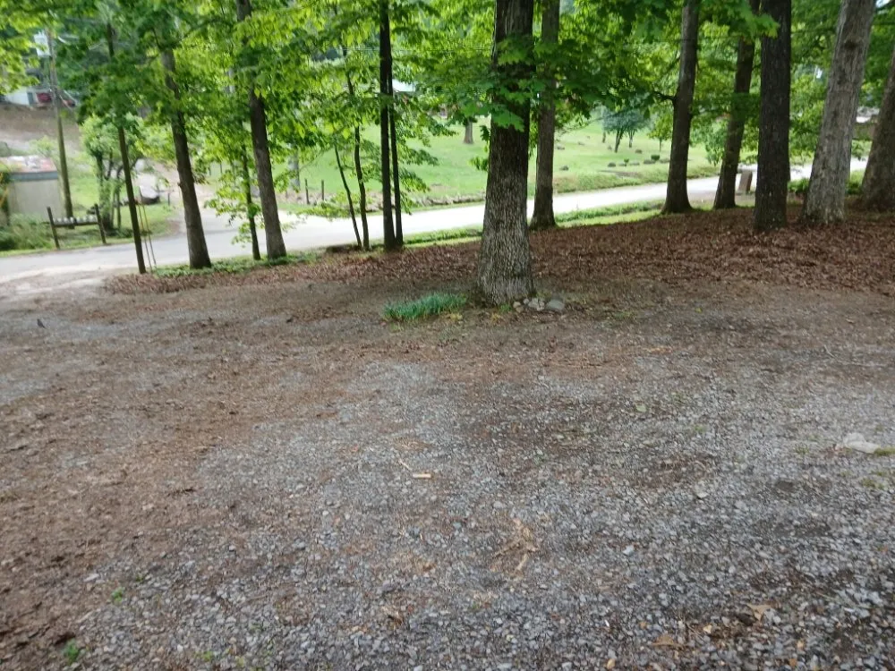 Custom lawn care service experts serving Cleveland, TN - William's Lawn Care