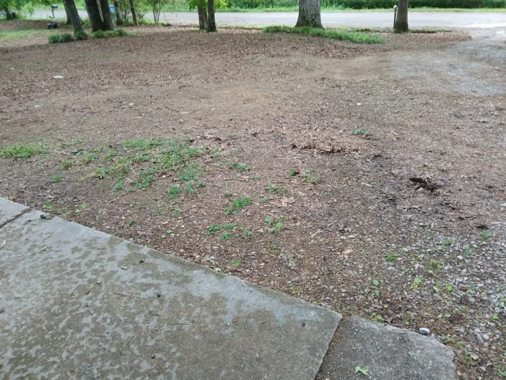 Reliable landscape design with custom design in Cleveland, TN by William's Lawn Care