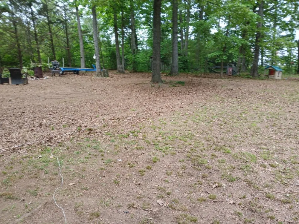 Top-rated outdoor landscaping in Cleveland, TN - William's Lawn Care