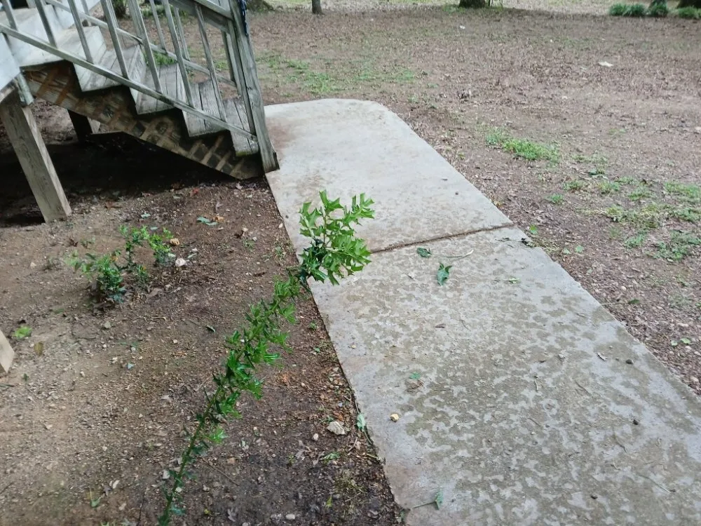 Top-rated landscape installation near you across Cleveland, TN - William's Lawn Care