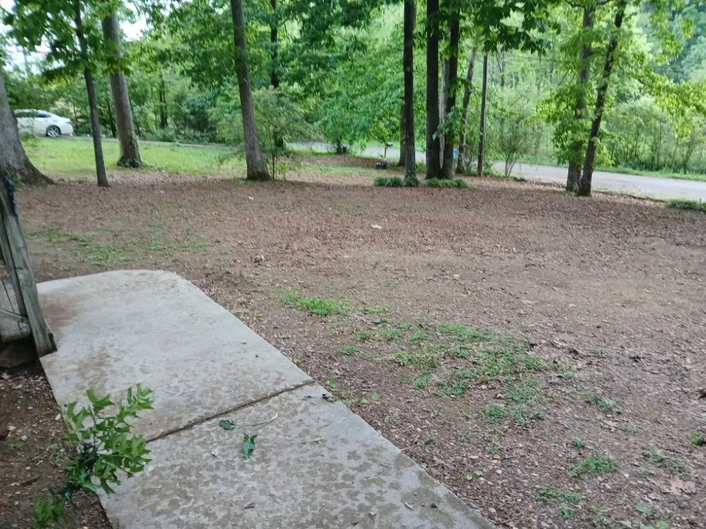 Professional lawn care service in Cleveland, TN - William's Lawn Care