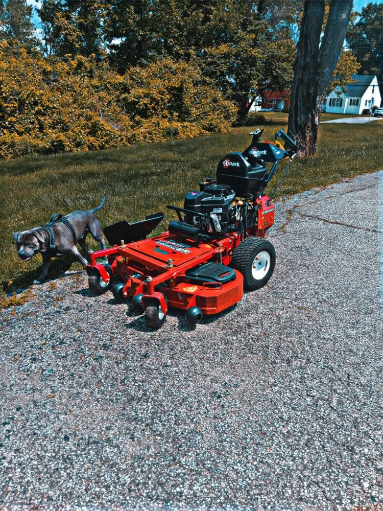 Custom yard maintenance for beautiful yards in Florence, KY by Williams Lawn Care