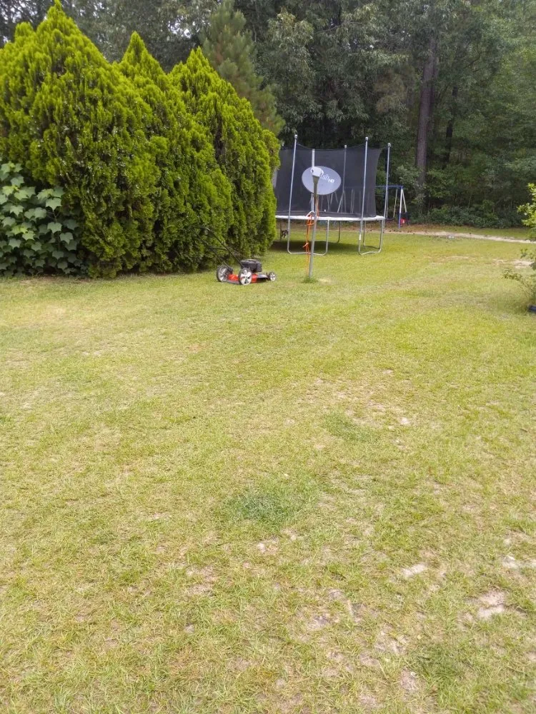 Custom landscape design for outdoor upgrades in Gaston, SC by Williams Lawn Care