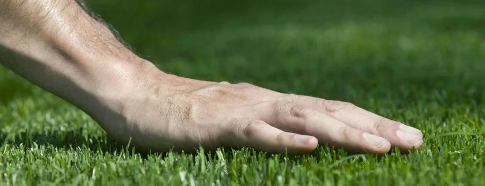 Reliable residential landscaping in Ruston, LA by Williams Lawn Care