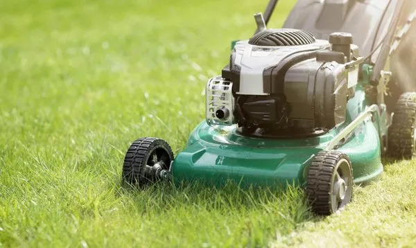 Williams Lawn Care Logo