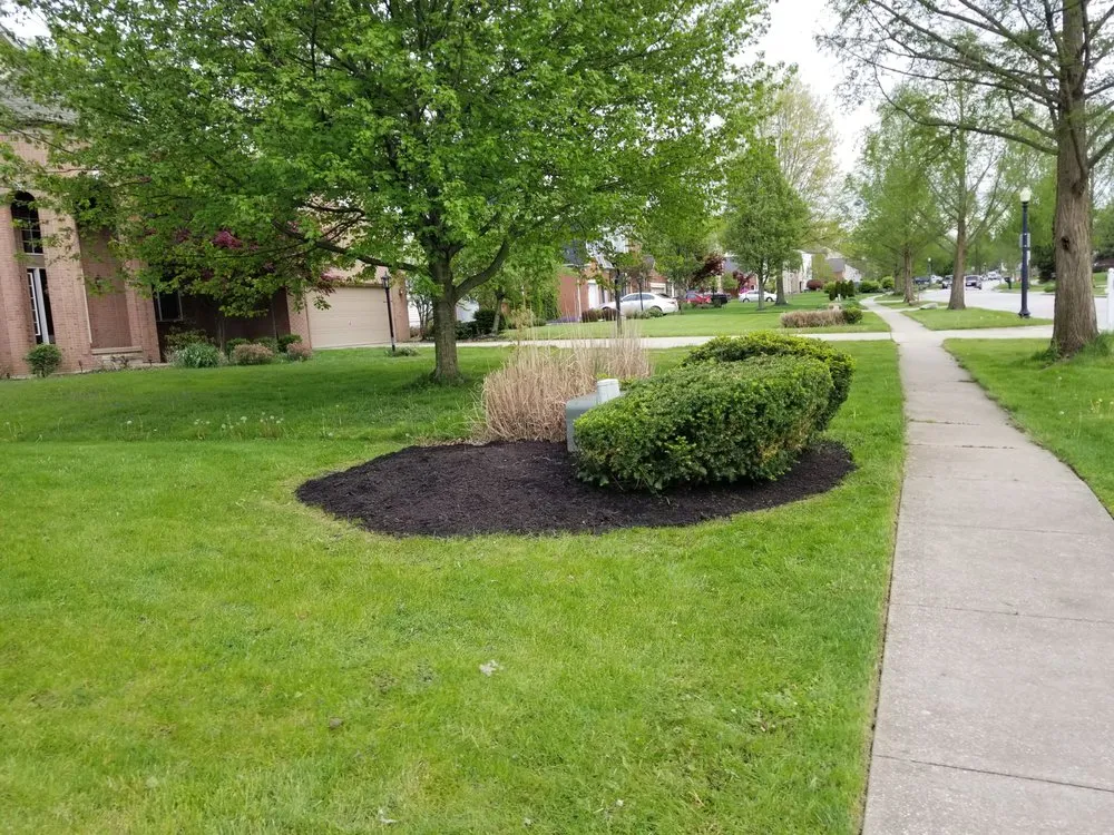 Reliable yard cleanup service in Girard, OH - Williams Lawn Care Services