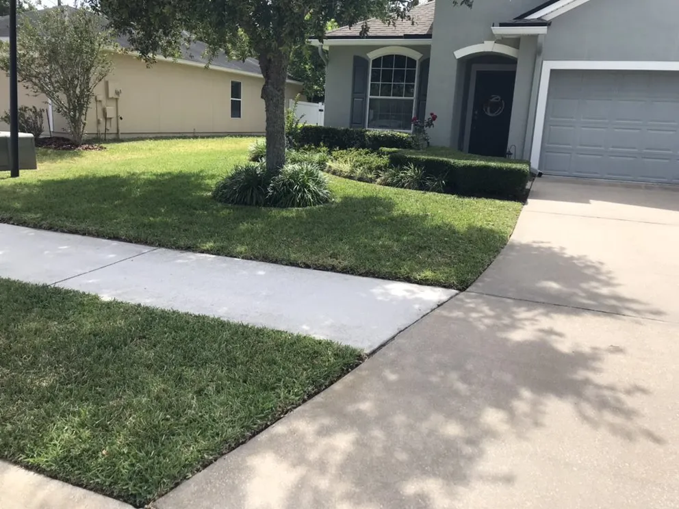 Expert yard cleanup service in St. Augustine, FL by Williams Lawn Care