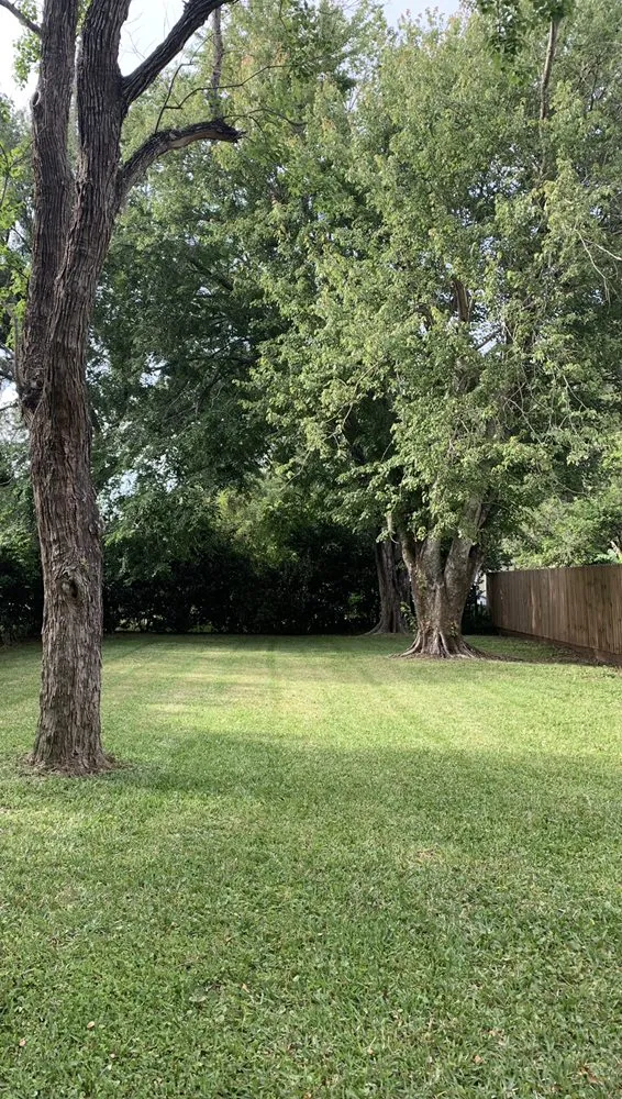 Local landscape design experts serving St. Augustine, FL - Williams Lawn Care